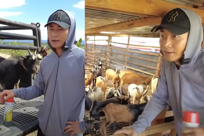 Quang Linh Vlogs lại gặp chuyện xui, quyết định “thanh lý” hết toàn bộ dê tại trang trại