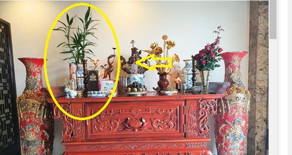 Đừng đặt hoa cúc lên bàn thờ nữa: Đây mới là những loại mang nhiều tài lộc cho gia chủ