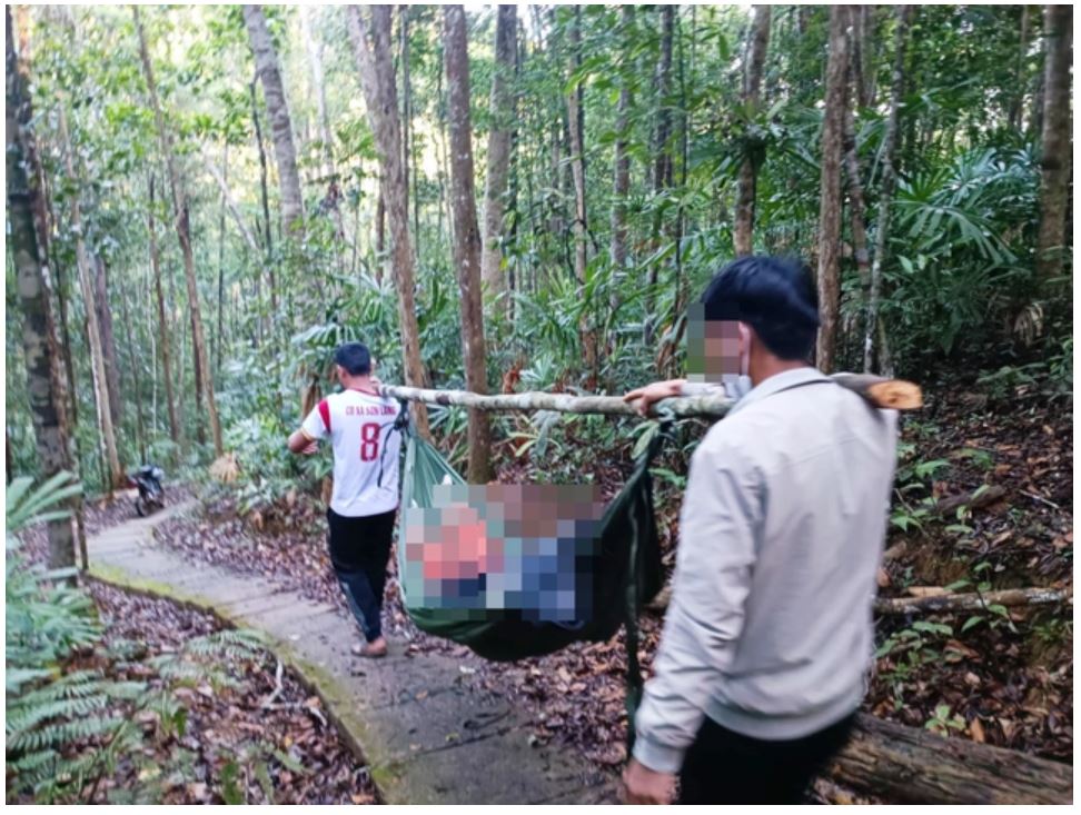 Cây rừng đổ, nữ du khách tử vong khi tham quan thác K50