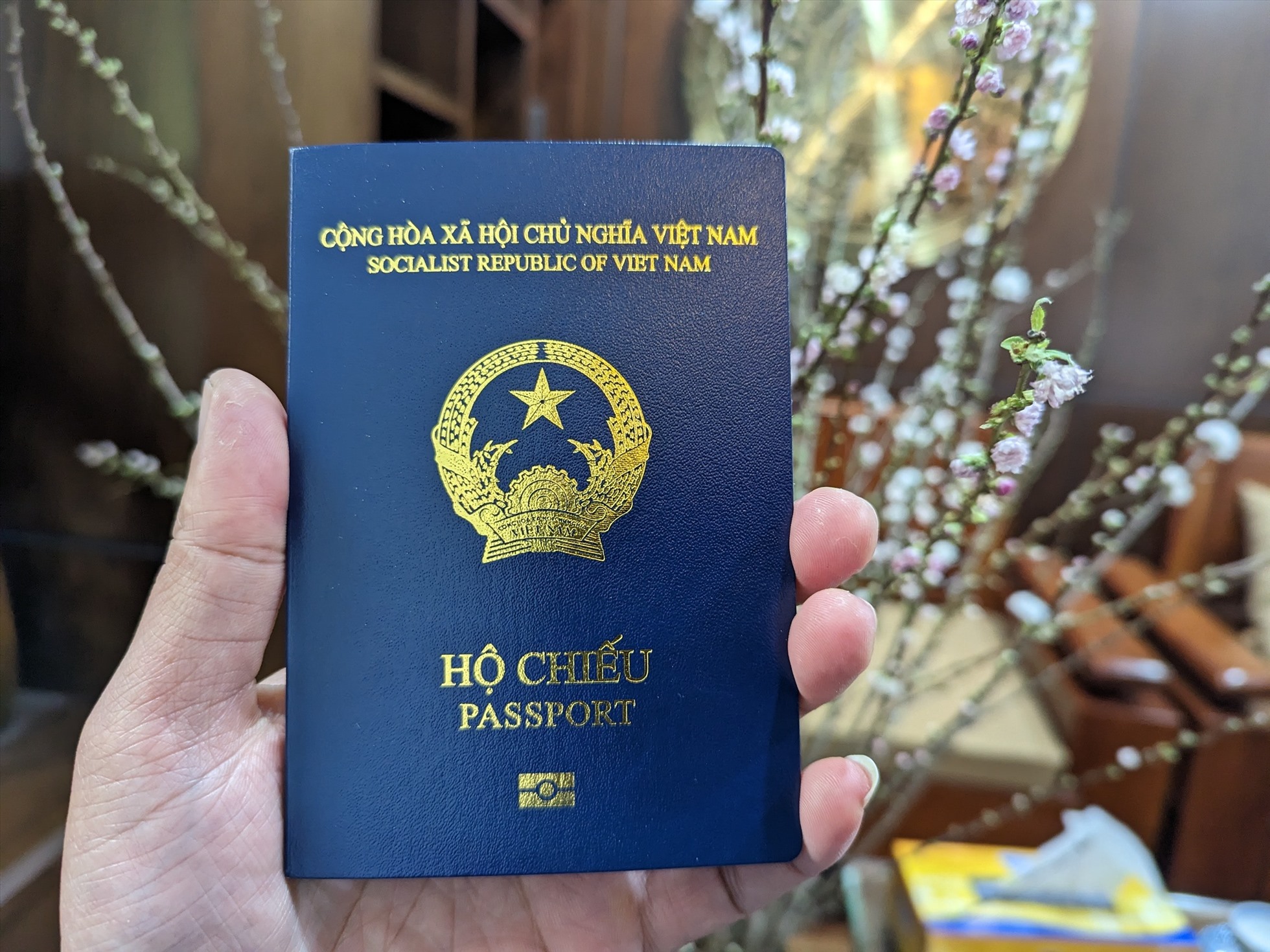 Hộ chiếu Việt Nam có thể đi bao nhiêu nước không cần xin visa trước?