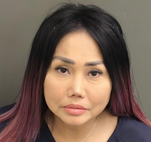 Ca sĩ Lynda Trang Đài từng trộm cắp tài sản mà vẫn tái phạm