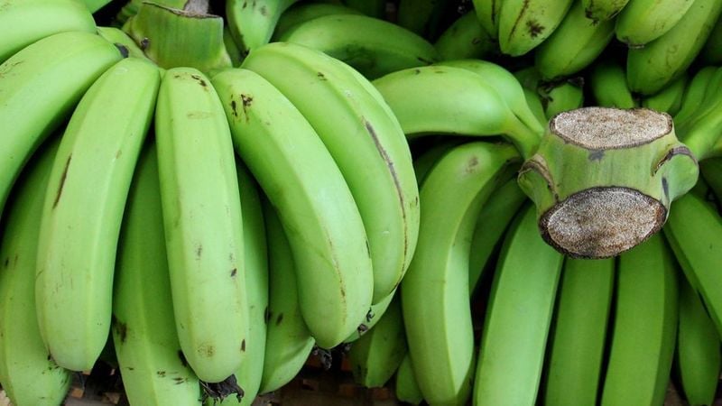 Thường xuyên ăn chuối xanh mỗi ngày, cơ thể sẽ có thay đổi như thế nào?