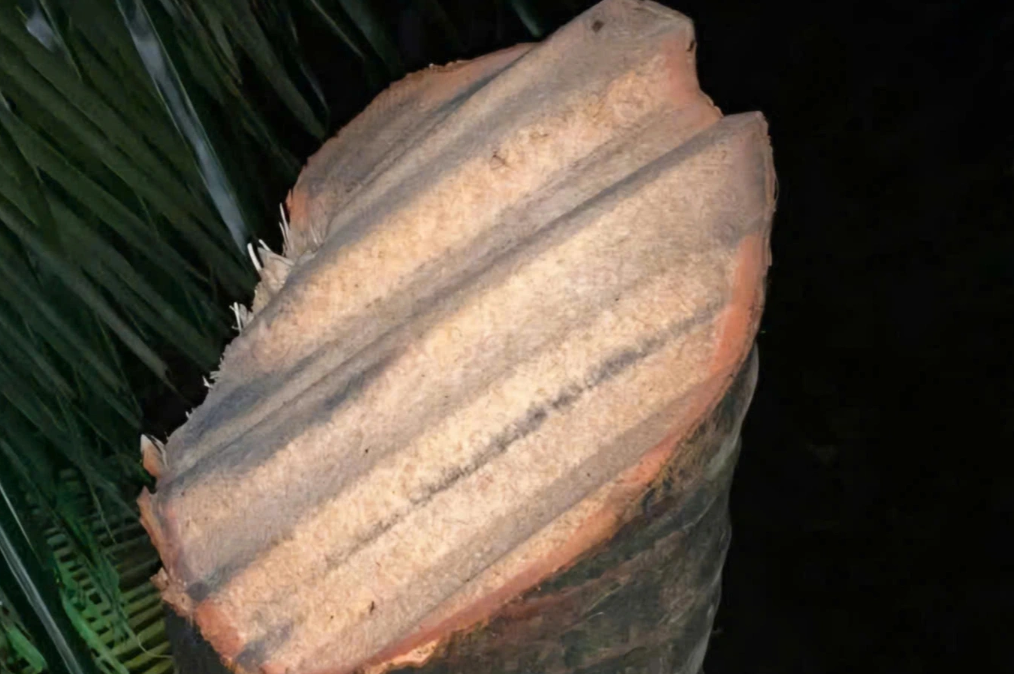 Chủ nhân clip hơn 6 triệu view 